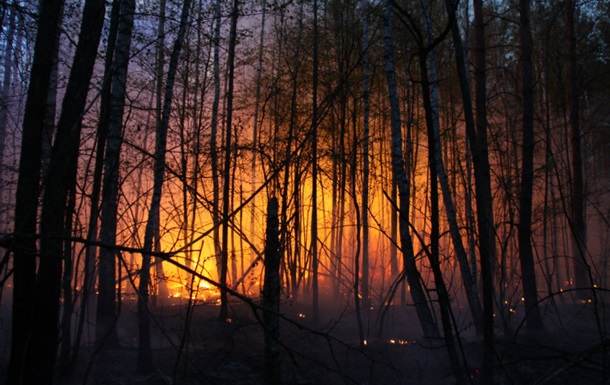 На Херсонщині окупанти не дають гасити палаючі ліси