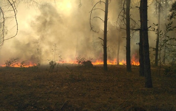 На Київщині спалахнув ліс в Іванківському районі та в Чорнобильській зоні