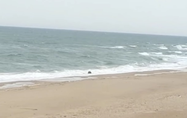 На узбережжя Одещини винесло морську якірну міну