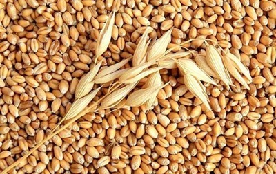 З України не можуть експортувати близько 25 млн тонн зерна
