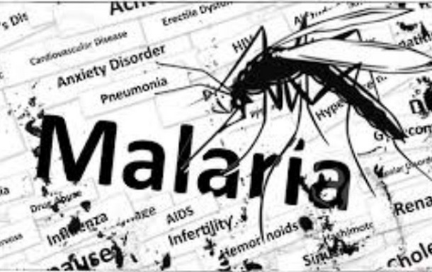У мешканки Рівненської області виявили малярію