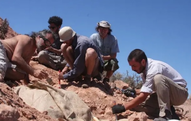 В Аргентині знайшли раніше невідомого броньованого динозавра