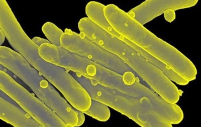Знайдено спосіб боротьби з бактеріями, стійкими до антибіотиків