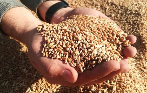Росіяни вкрали 900 тонн зерна у Луганській області