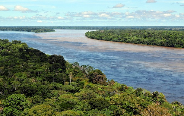 У Бразилії зафіксовано рекордні показники вирубки лісу - ЗМІ