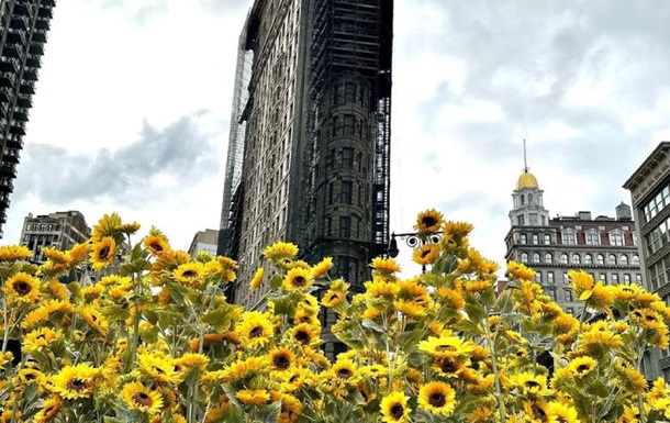 У Нью-Йорку висадили 335 соняшників на підтримку України