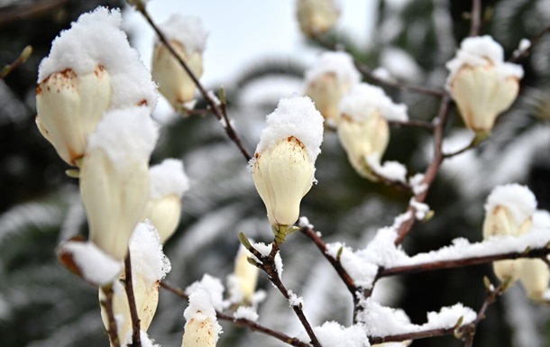 Синоптики прогнозують сніг у більшості регіонів України