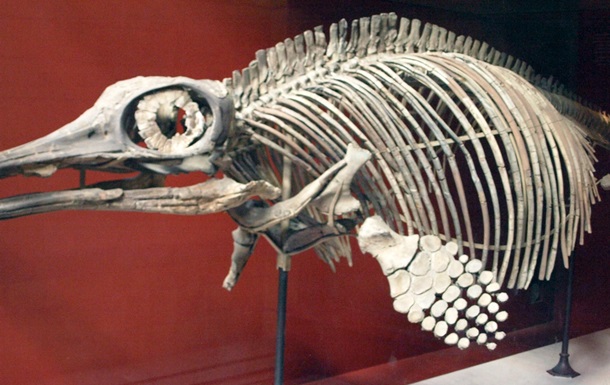 Виявлено останки давньої тварини, старшої за динозаврів