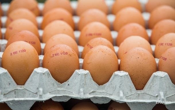 Мінагрополітики прогнозує зниження цін на яйця на 20-40%