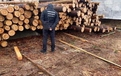 На Київщині викрили велику схему нелегальної вирубки та збуту деревини