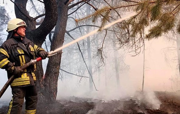 На Київщині загасили масштабну лісову пожежу