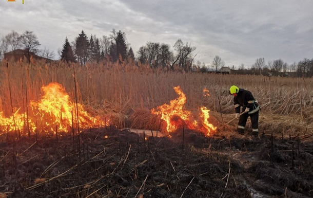 На Вінниччині вогонь знищив пасіку 