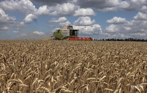 В Україні збирають врожай озимих