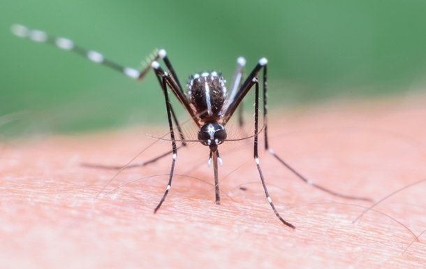 Вперше за 20 років: у США зафіксували спалах малярії