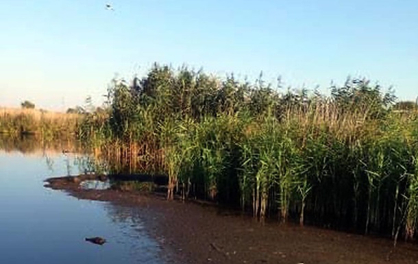 Поліція розслідує обставини загибелі птахів у водоймі на Полтавщині 
