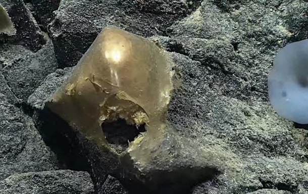 Біля підводного вулкана Аляски знайдено загадкове золоте яйце