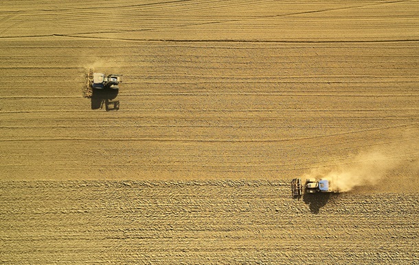 Польща продовжить заборону на експорт зерна з України 