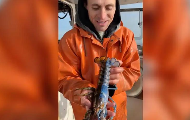 Американець спіймав рідкісного двоколірного омара-гермафродита