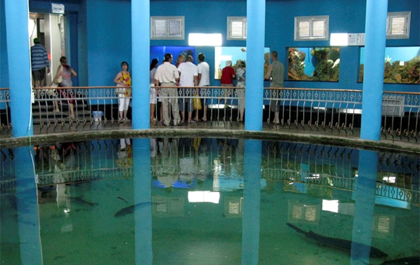 У Севастополі через негоду загинули 800 мешканців музею-акваріуму