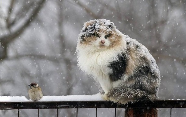 В Україні прогнозують сильне похолодання та сніг