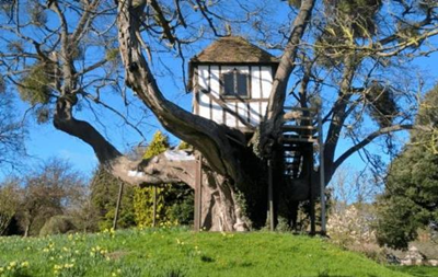 Знайдено найстаріший у світі будиночок на дереві