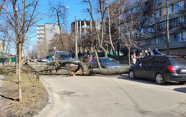 В Одесі негода  наламала дров 
