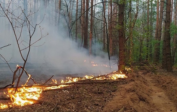 На Луганщині вирують лісові пожежі